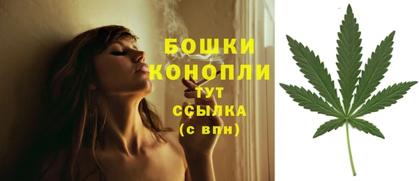 соль курить ск Нея