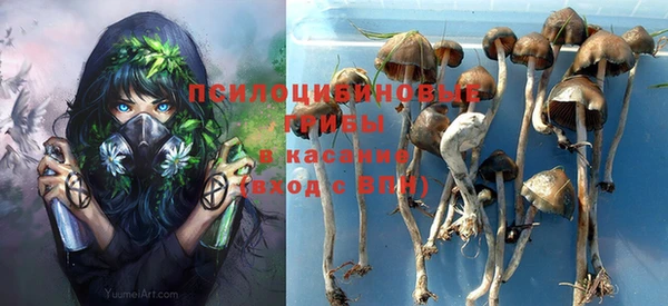PSILOCYBIN Нефтекумск