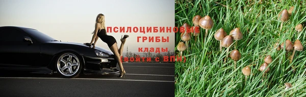 соль курить ск Нея